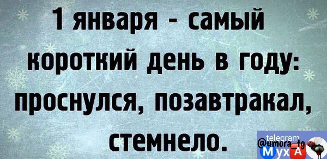 1 января самый короткий день в году проснулся позавтракал стемнело тд т