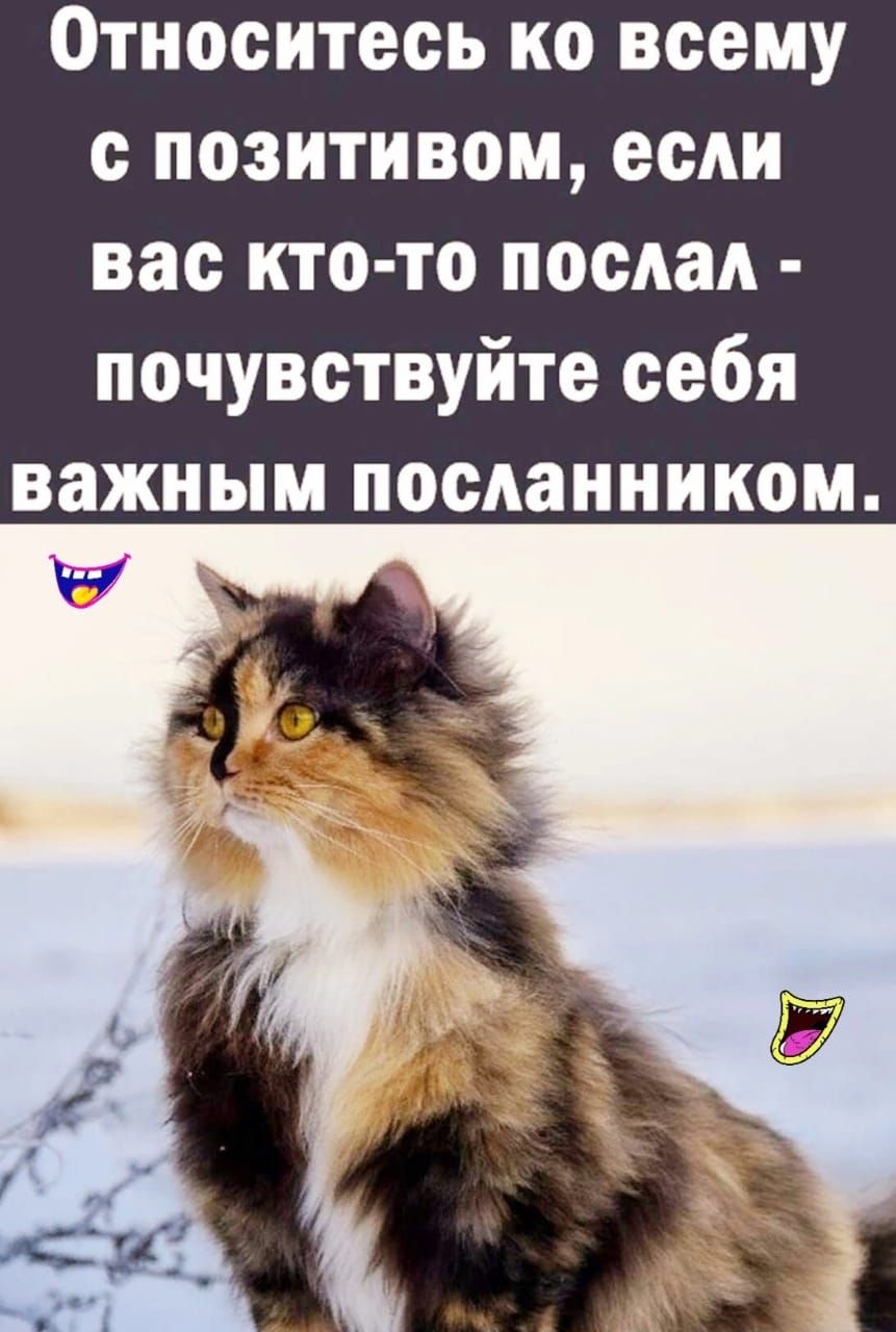 Относитесь КО всему с позитивом если вас кто то послал почувствуйте себя важным посланником