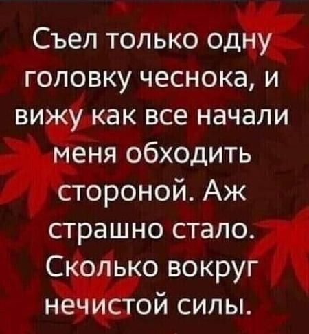 Съел только од ГОЛОВКУ ЧёСНОКд И ВИ как все НЭЧЭЛИ еня обходить стороной Аж страшно стало Со ько вокруг ТОЙ СИЛЫ