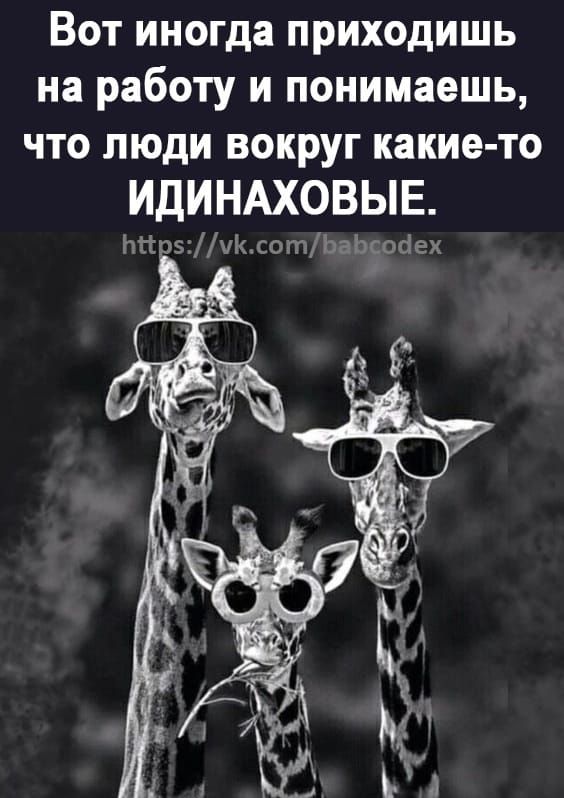 Вот иногда приходишь на работу и понимаешь что люди вокруг какие то ИДИНАХОВЫЕ 5 А со уп ч