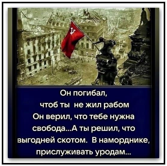 и Он погибал чтоб ты не жил рабом Он верил что тебе нужна свободаА ты решил что выгодней скотом В наморднике прислуживать уродам
