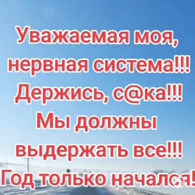 Уважаемая моя нервная система Держись ска Мы должны выдержать все Го только найди