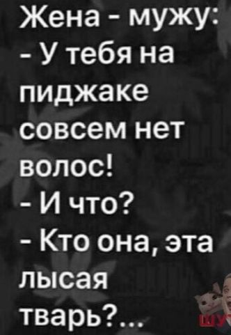 Жена мужу У тебя на пиджаке совсем нет волос И что Кто она эта лысая тварь лип