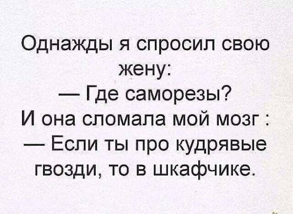 Однажды я спросил свою жену Где саморезы И она сломала мой мозг Если ты про кудрявые гвозди то в шкафчике