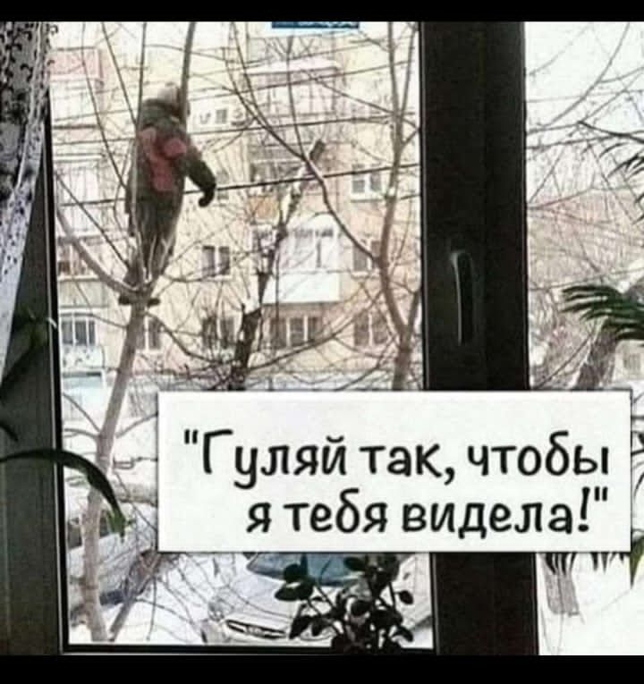 Гуляй так чтобы я тебя видела