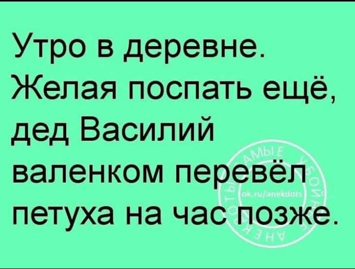 Утро в деревне Желая поспать ещё дед Василий вапенком перевёл петуха на час позже