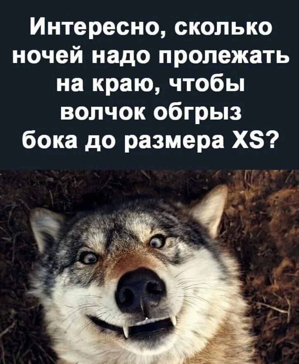 Интересно сколько ночей надо пролежать на краю чтобы волчок обгрыз бока до размера ХЗ _ А