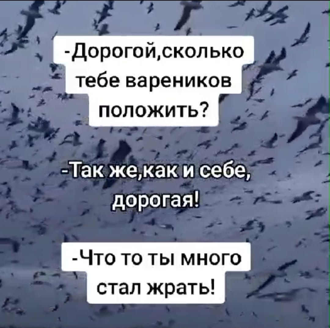 Дорого йсколько тебе вареников положить Так жекак и себе дорогая Что то ты много стал жрать