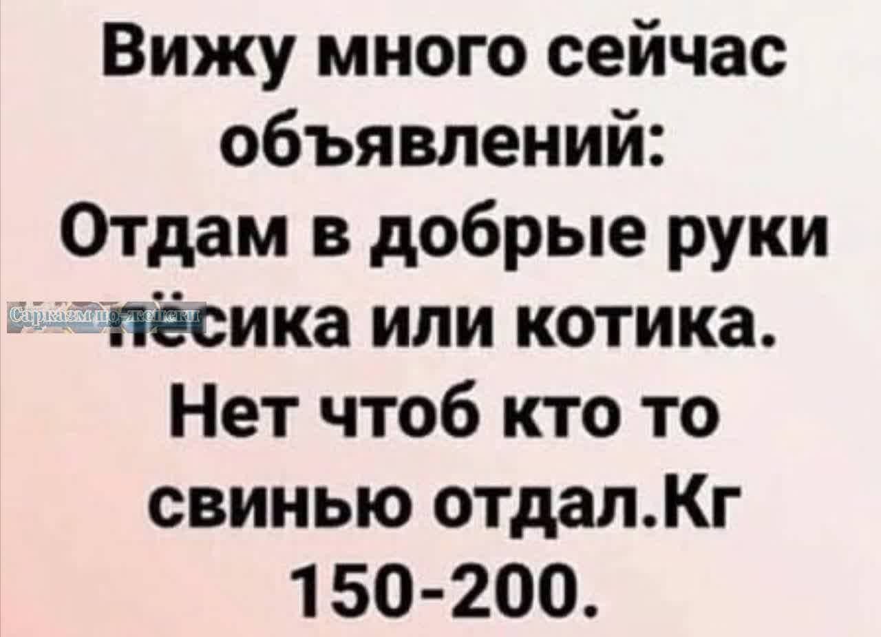 Вижу много сейчас объявлений Отдам в добрые руки пёсика ипи котика Нет чтоб кто то свинью отдалКг 1 50200