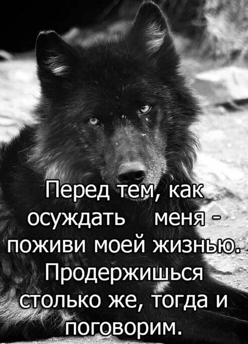 Перед тем как осуждать меня поживи моей жизнью Продержишься щлгко же тогда и поговорим