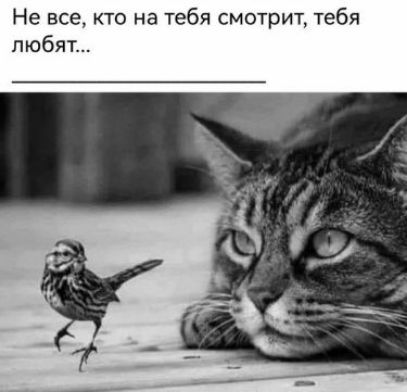 Не все то на тебя смотрит тебя любят