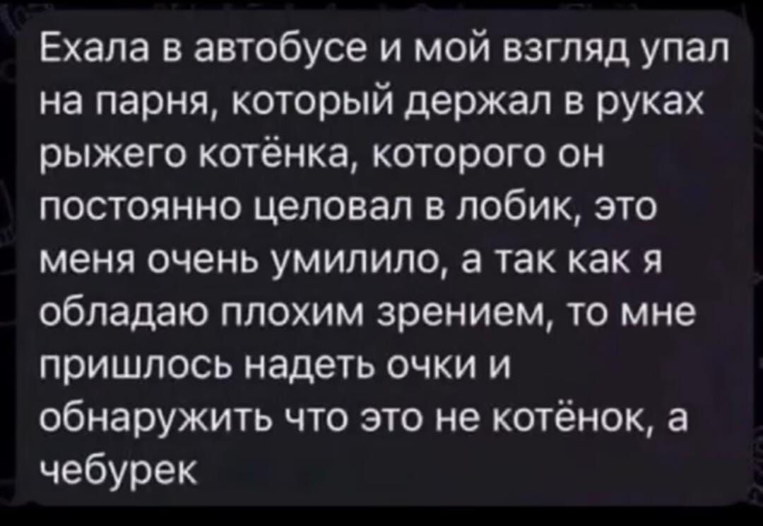 Ехала в автобусе и мой взгляд упал на парня который держал в руках рыжего котёнка которого он постоянно целовал в лобик это меня очень умилило а так как я обладаю плохим зрением то мне пришлось надеть очки и обнаружить что это не котёнок а чебурек