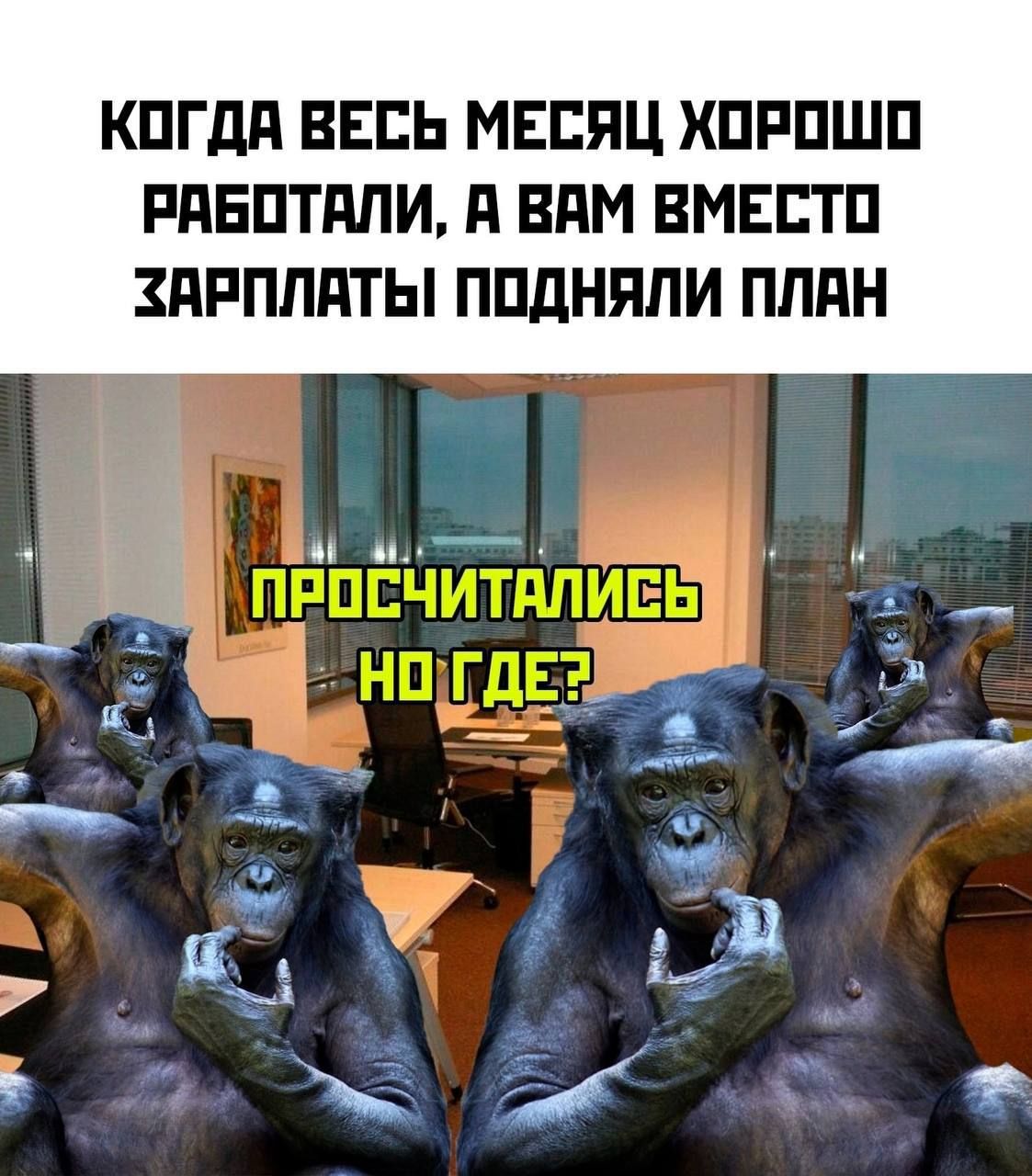 Когда весь месяц хорошо работали, а вам вместо зарплаты подняли план.
ПРОСЧИТАЛИСЬ
НО ГДЕ?