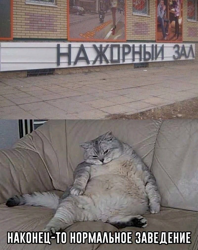 НАЖДРЫЙ ЗАЛ
НАКОНЕЦ-ТО НОРМАЛЬНОЕ ЗАВЕДЕНИЕ