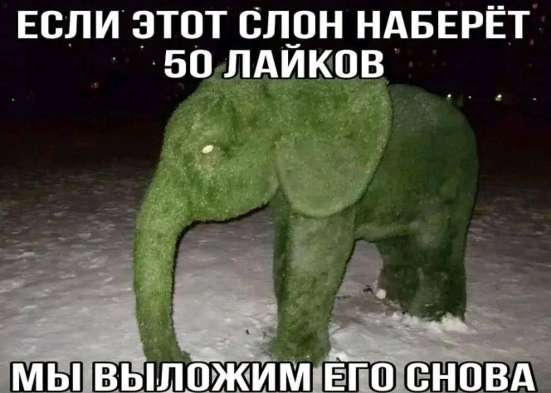 ЕСЛИ ЭТОТ СЛОН Наберёт 50 лайков МЫ ВЫЛОЖИМ ЕГО СНОВА