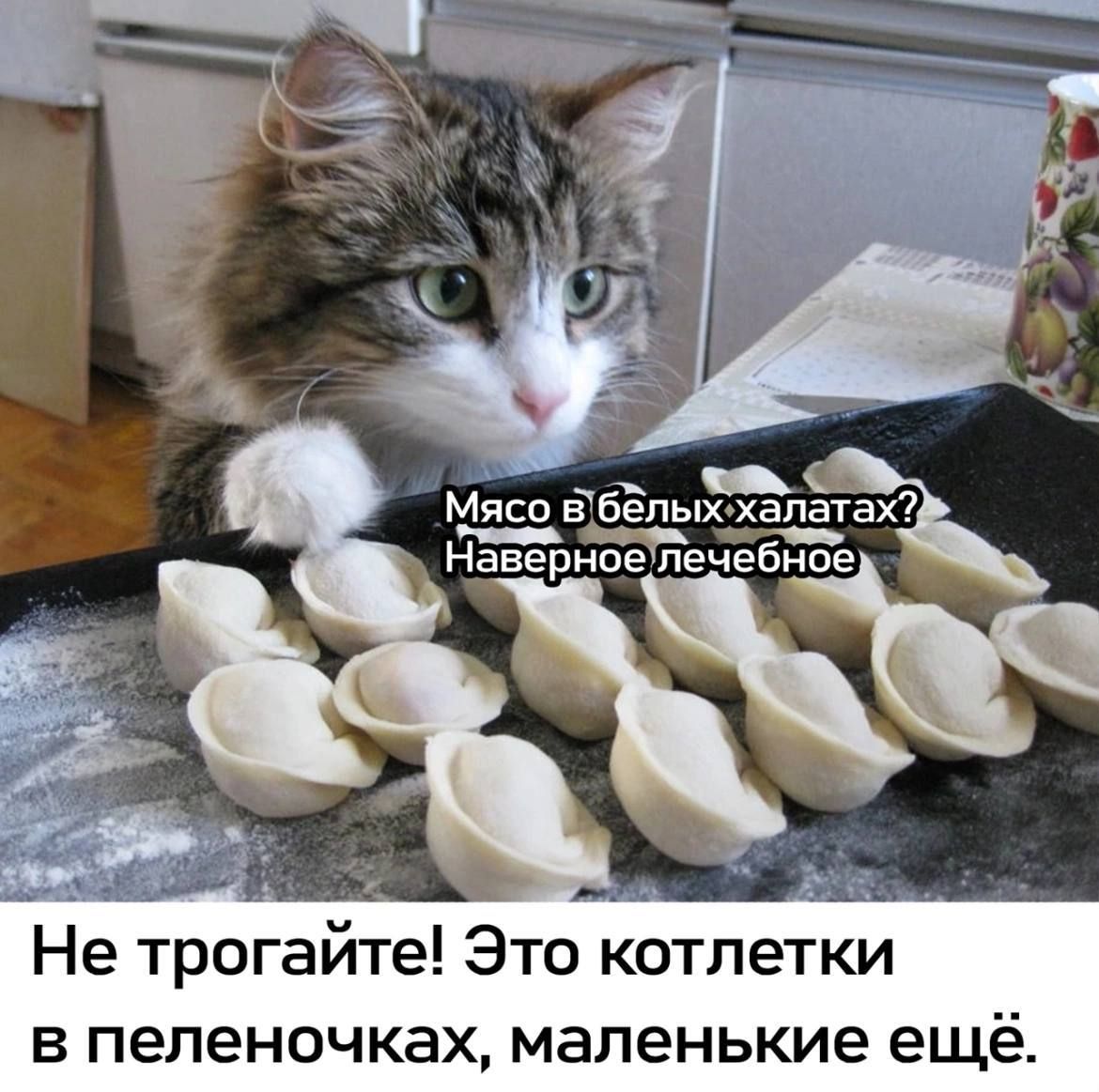 Мясо в белых халатах? Наверное лечебное
Не трогайте! Это котлетки в пеленочках, маленькие ещё.