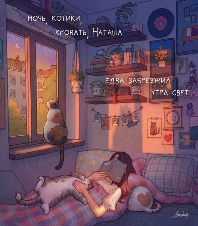ночь, котики, кровать, Наташа
едва забрезжил утра свет