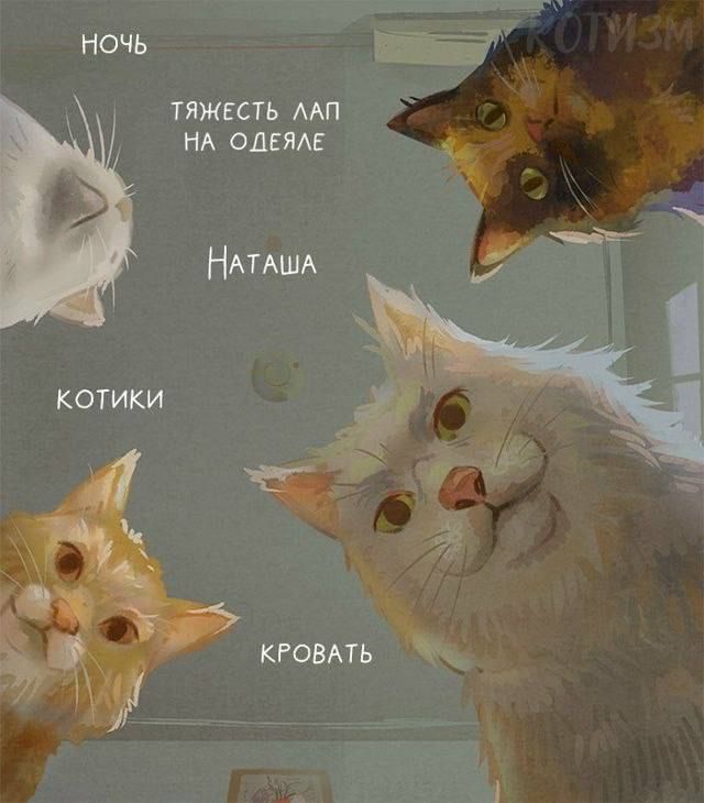 ночь
тяжесть лап на одеяле
Наташа
котики
кровать
