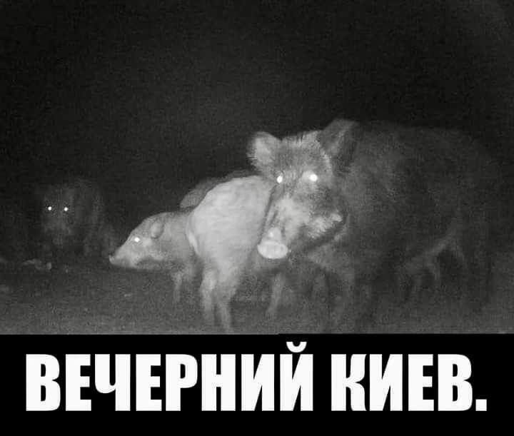 ВЕЧЕРНИЙ КИЕВ.