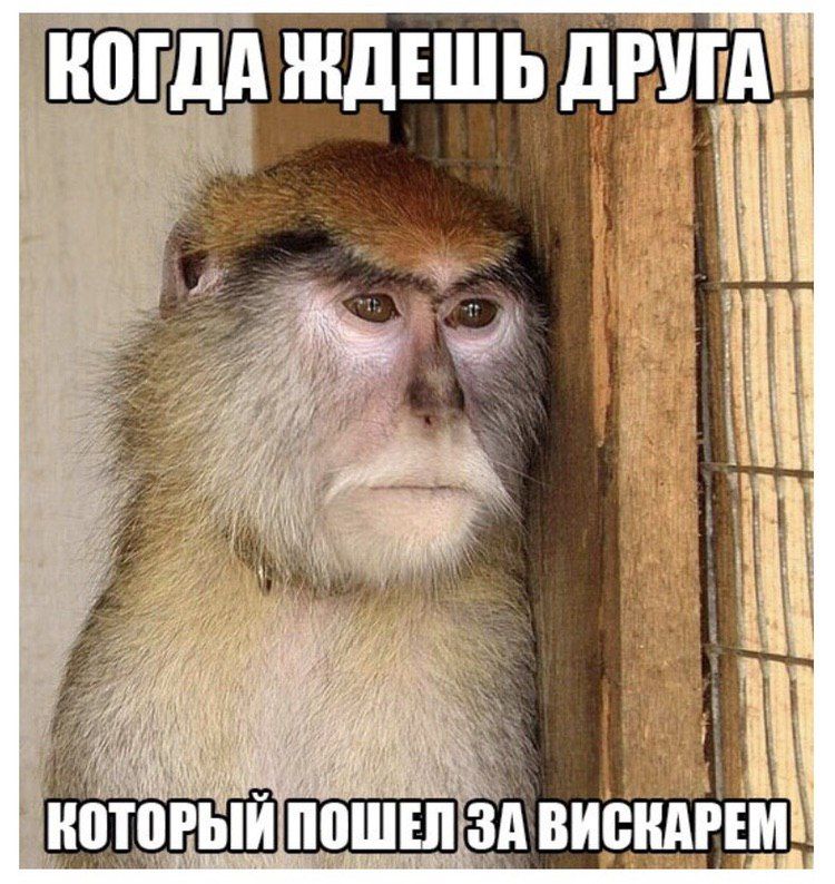 КОГДА ЖДЕШЬ ДРУГА
КОТОРЫЙ ПОШЕЛ ЗА ВИСКАРЕМ