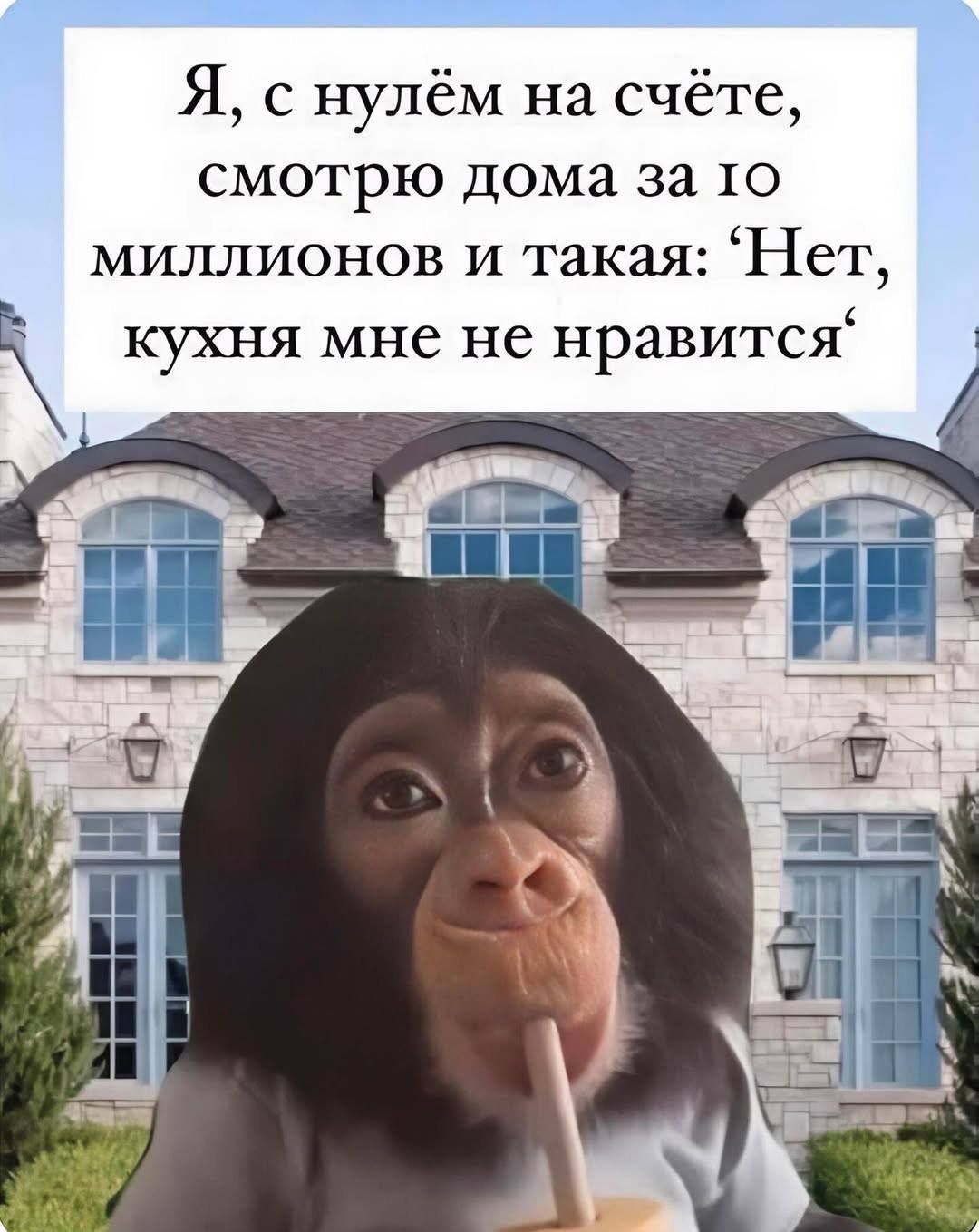 Я, с нулём на счёте, смотрю дома за 10 миллионов и такая: «Нет, кухня мне не нравится»