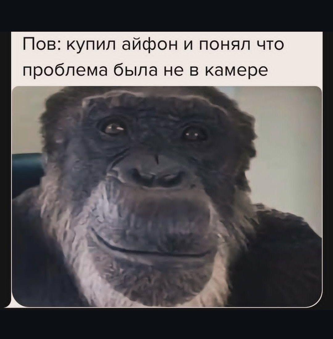 Пов: купил айфон и понял что проблема была не в камере