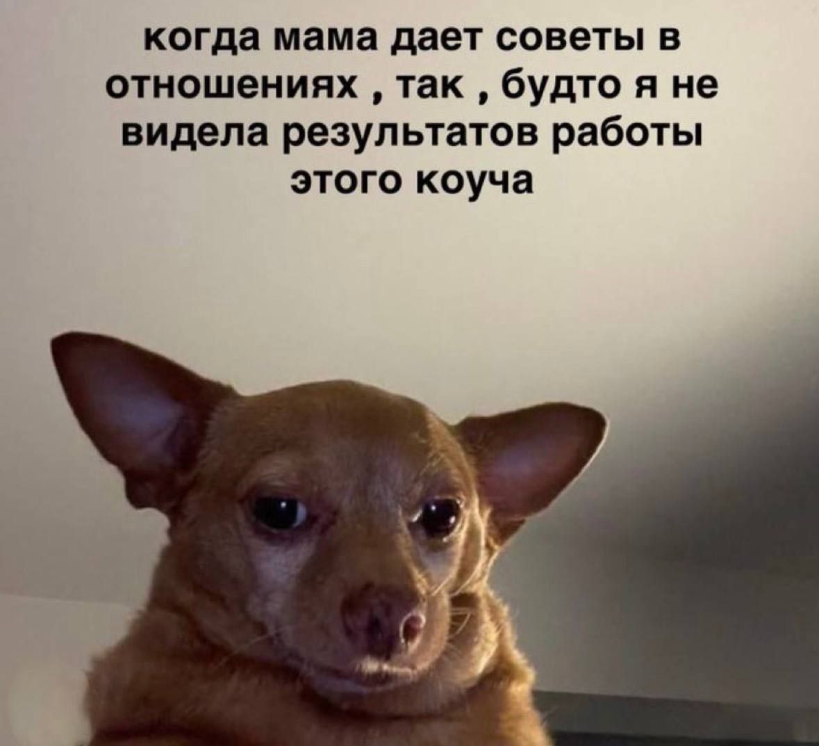 когда мама дает советы в отношениях, так, будто я не видела результатов работы этого коуча
