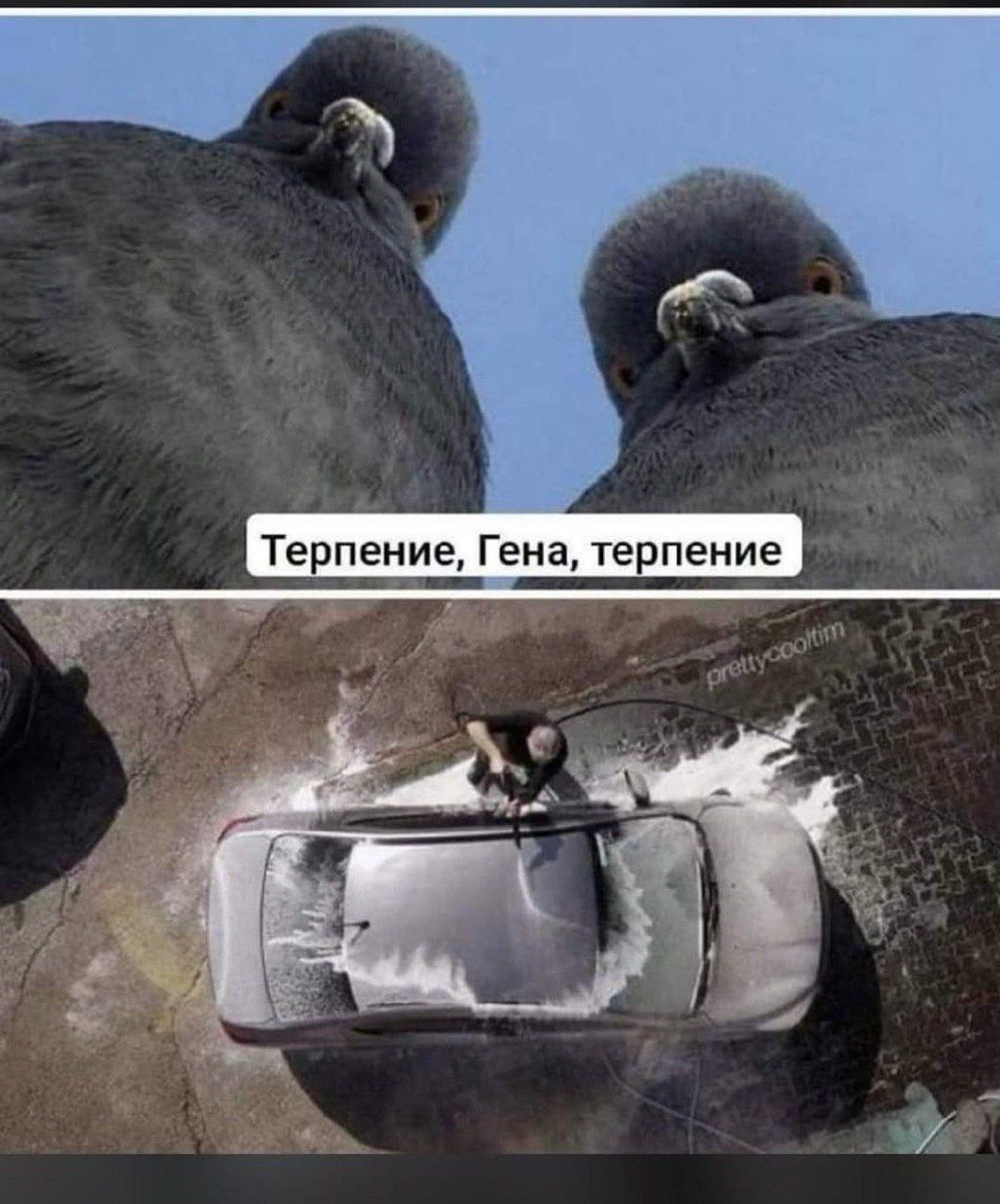 Терпение, Гена, терпение