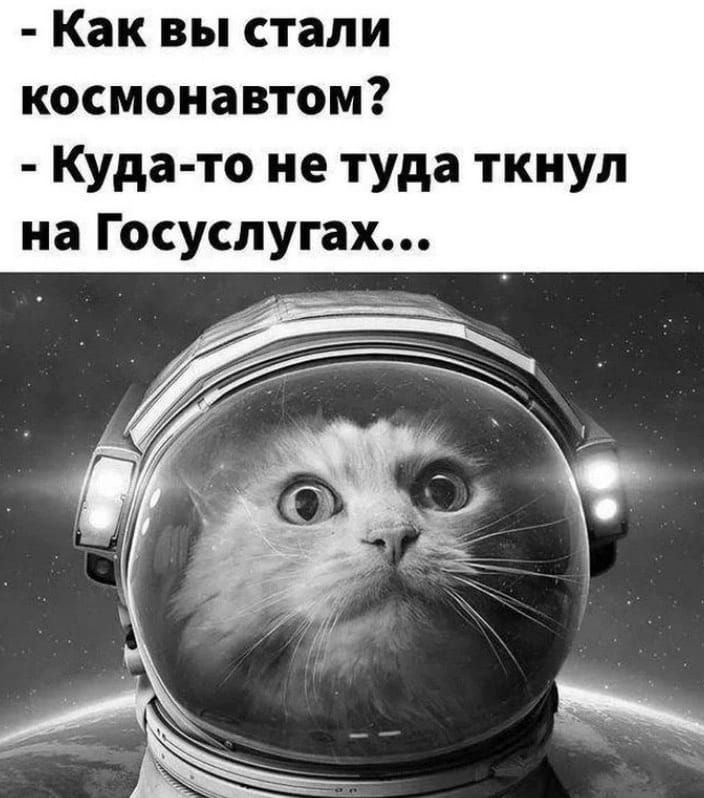 Как вы стали космонавтом Куда то не туда ткнул на Госуслугах