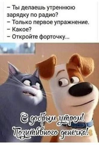 Ты делаешь утреннюю зарядку по радио Только первое упражнение Какое Откройте форточку