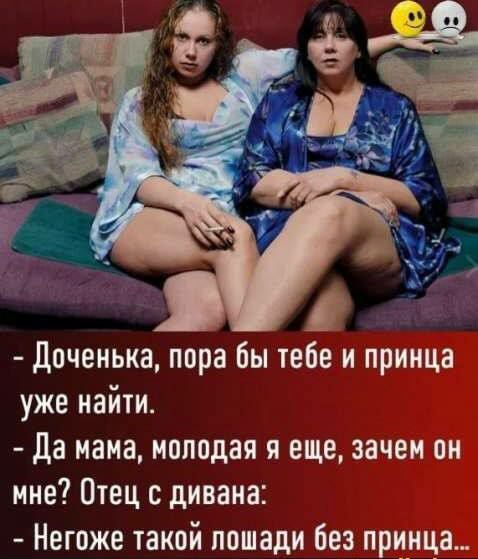 Доченька, пора бы тебе и принца уже найти.
Да мама, молодая я еще, зачем он мне? Отец с дивана:
Негоже такой лошади без принца...