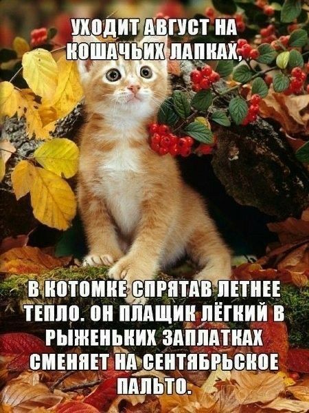 ТТ ьЁЁЪЩЁ _ О ЭЭГ и въпптпині епштпёйттин тншп пн пппшии пітний в гьннтньиик зппіштидк БМЕИПЕТ АВШТПБРЬВИЁЕ ШШШ 2 а