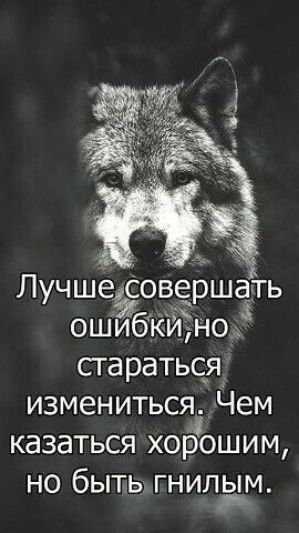 Лучше Совершать ошибкЙ 03 стараться измениться Чем казаться хорошим но бытьттгнипдм