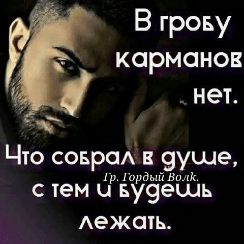 В грову карманов _ нет то соврок 9уше рГордый Волк с тем и ву9ешь Аежать