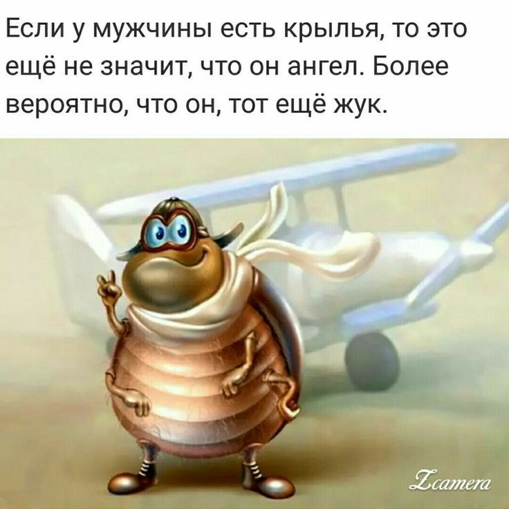 Если у мужчины есть крылья то это ещё не значит что он ангел Более вероятно что он тот ещё жук