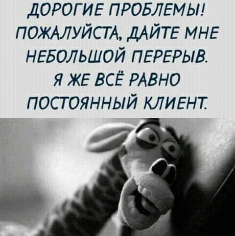 ДОРОГИЕ ПРОБЛЕМЫ ПОЖАЛУЙСТА ДАЙТЕ МНЕ НЕБОЛЬШОЙ ПЕРЕРЫВ я ЖЕ всё РАВНО ПОСТОЯННЫЙ КЛИЕНТ