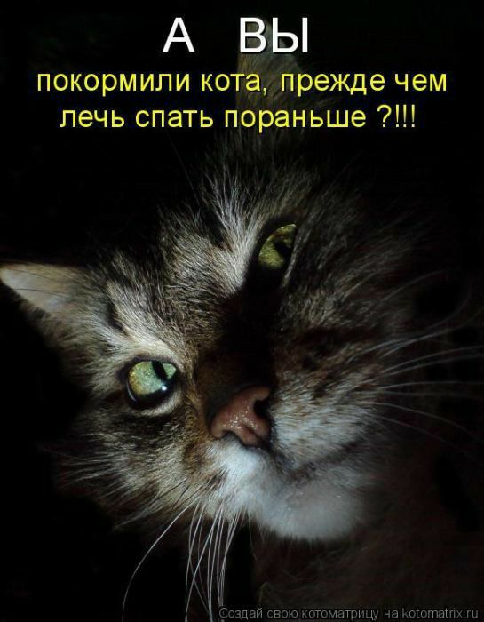 АЁЫ покормили котё інрежде чем лечь спать пораньше 4 и дт