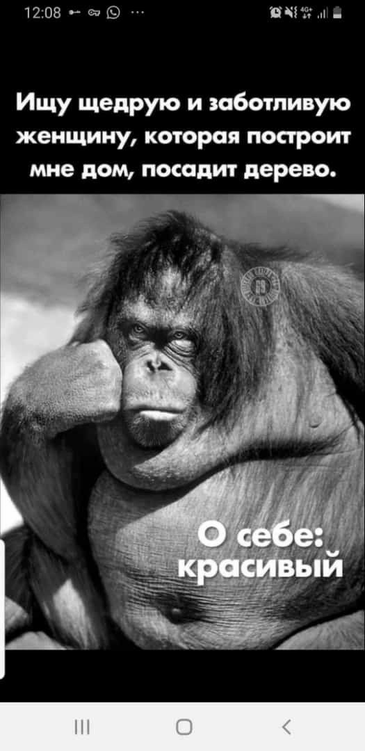 1208ра ПСН Ищу щедрую и ибтпивую женщину которая построит мне дом посадит дерево