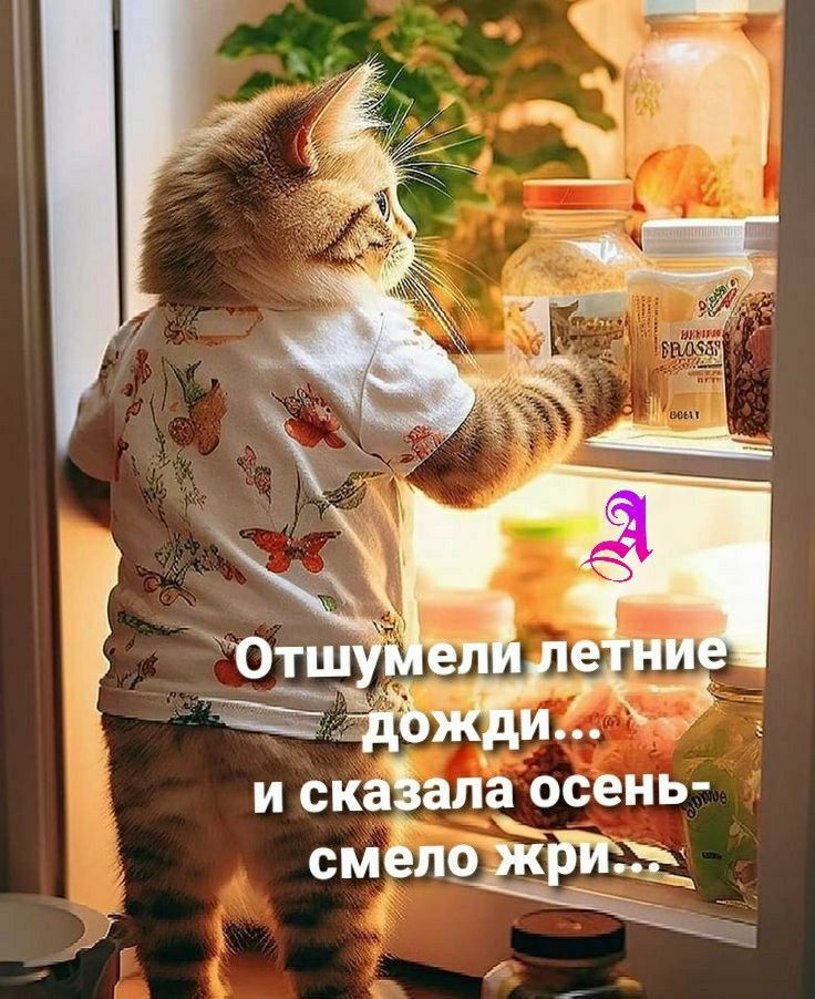 и скайпе осень смеподрц