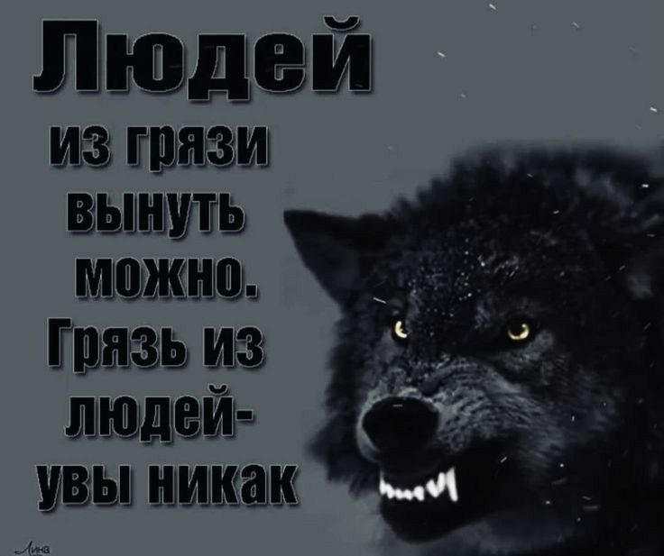 Людш БЫШЕЬ ШШЖШШ Тёдзи Ш швы имидж