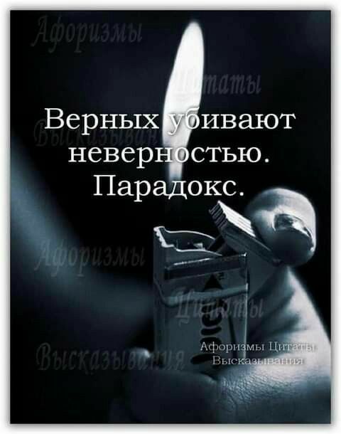 Верных ивают невер стью Пар окс И кг