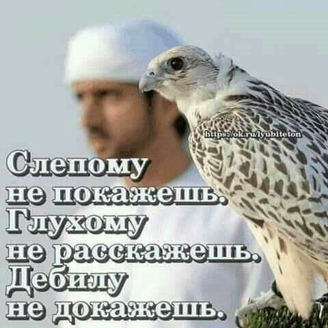 УА немлокажетнтьх аке НБ щ