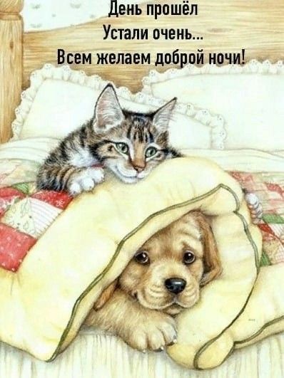 День прошёл Упали очень