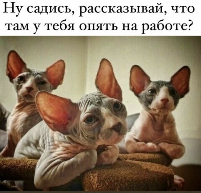 Ну садись рассказывай что там у тебя опять на работе