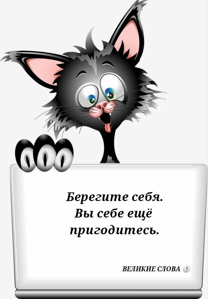 Берегите себя Вы себе ещё пригодитесь ВЫШЕ СЛОНА