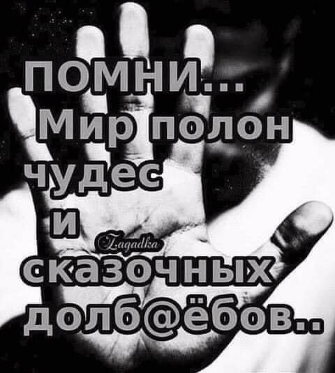 В о б е 6 Л о д