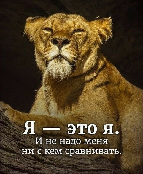 Яэтоя И не надо меня ни с кем сравнивать