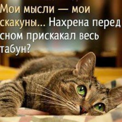 мысли мои _уны Нахрена перед М