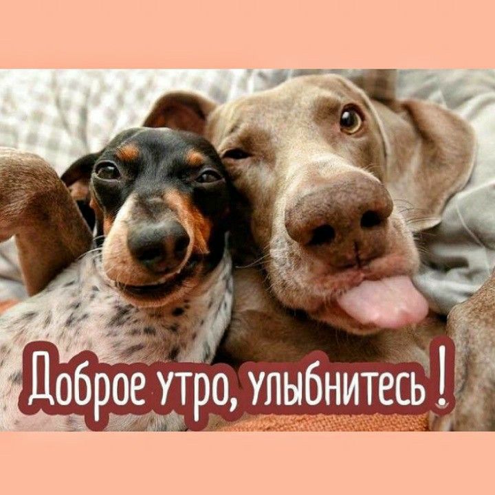 11о_брое утро улыбните 1
