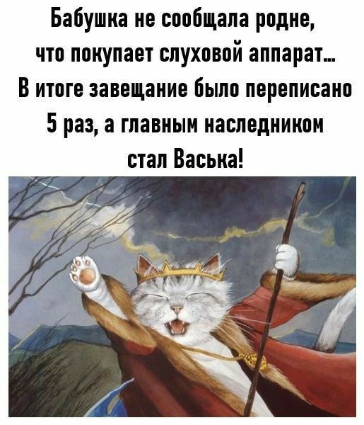 Бабушка не сообщала рпдке что покупает спухпвпй аппарат В итоге завещание было переписан 5 раз а главным наследником стал Васька